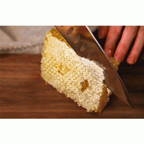 純天然農家野生土蜂蜜