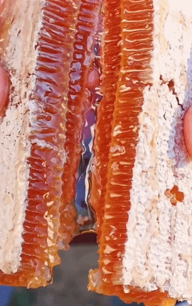 c13facdd-67bb-4903-be1d-918c8f952c0d.gif
