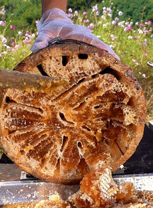 76936909-87d3-45e2-990c-760cb3206c11.gif