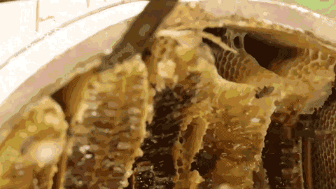 094989b6-ddb2-498a-ad66-e21cc7ae4bed.gif