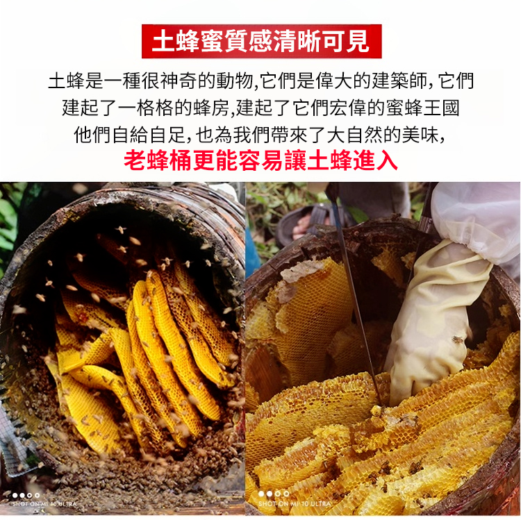 de12f3be-dd47-4fa9-b11e-37ffd64ab0a1.jpg