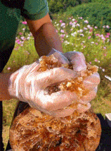 c2f381ba-3350-4863-b799-c5ac97d1a381_compressed.gif