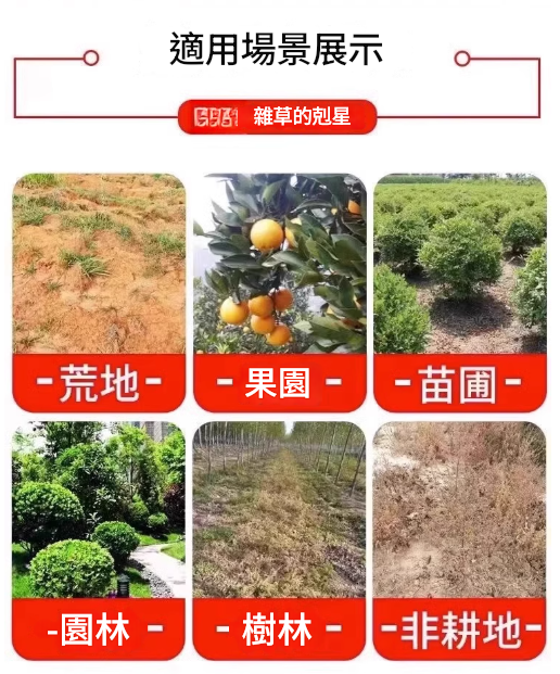 2af1dd71-ae4e-4554-bf72-0c8dfcb3c808.png